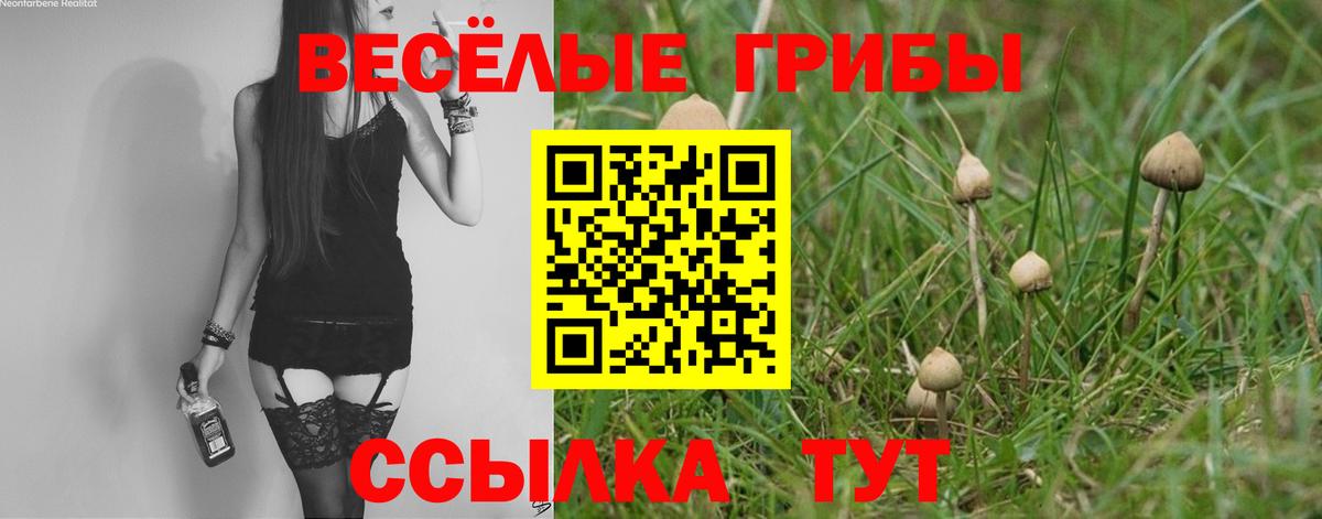 Галлюциногенные грибы ЛСД Новоалександровск